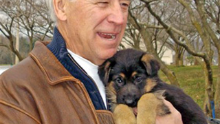You're Going To Need This Puppy To Get Through The News